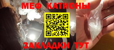 прущие грибы Будённовск