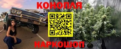 прущие грибы Будённовск