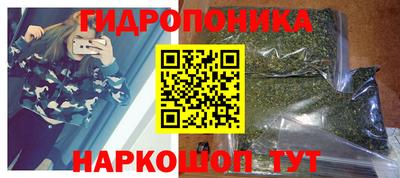 прущие грибы Будённовск