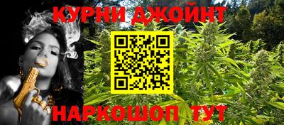 прущие грибы Будённовск