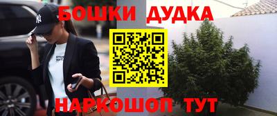 прущие грибы Будённовск