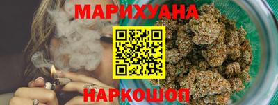 прущие грибы Будённовск