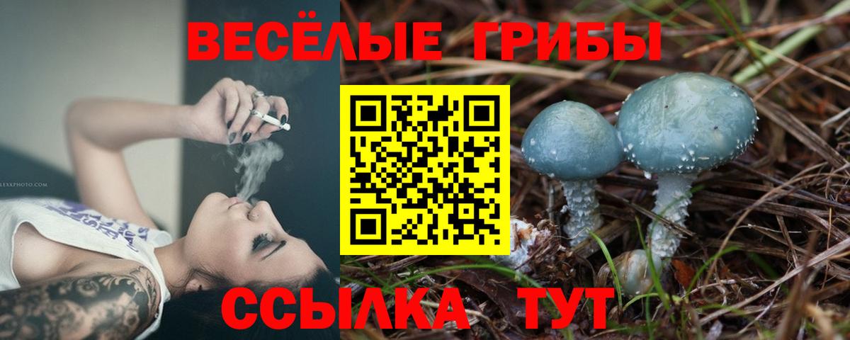 Псилоцибиновые грибы Psilocybine cubensis Уварово